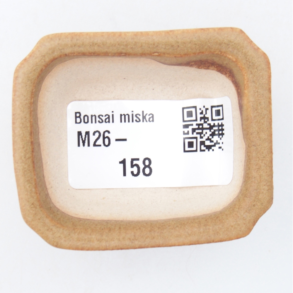 Ciotola per mini bonsai 5,5 x 4,5 x 2 cm, marrone