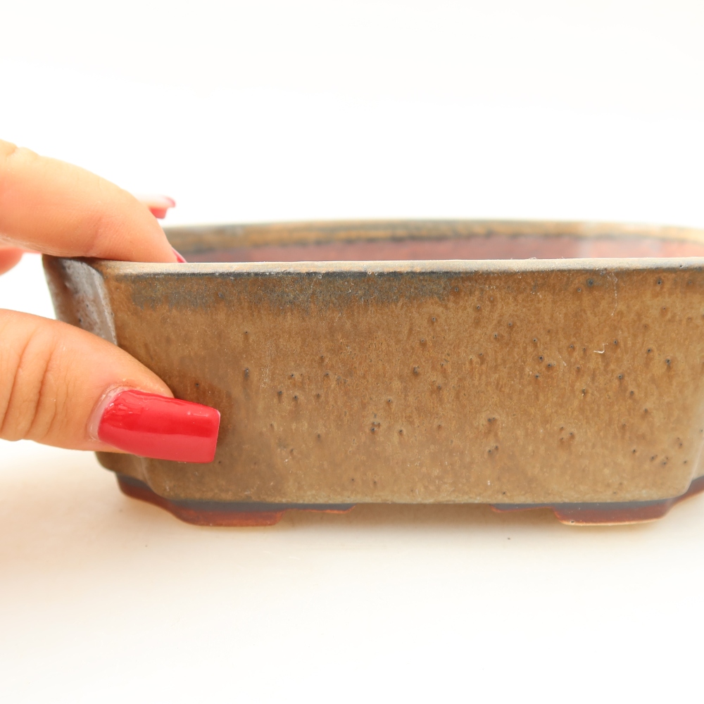 Ciotola per bonsai in ceramica 14 x 11,5 x 4,5 cm, marrone
