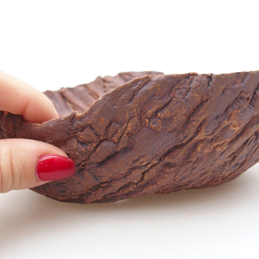 Conchiglia in ceramica 18,5 x 17,5 x 6 cm , colore marrone