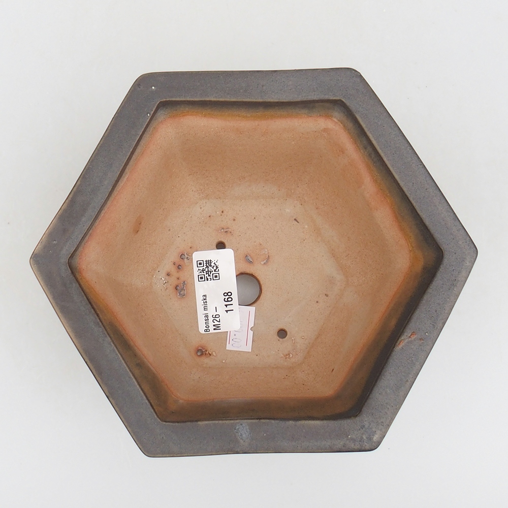 Ciotola bonsai in ceramica 18 x 16 x 9 cm, verde