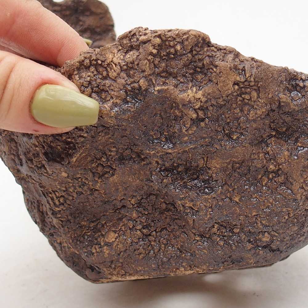 Conchiglia in ceramica 14 x 14 x 13 cm , colore marrone