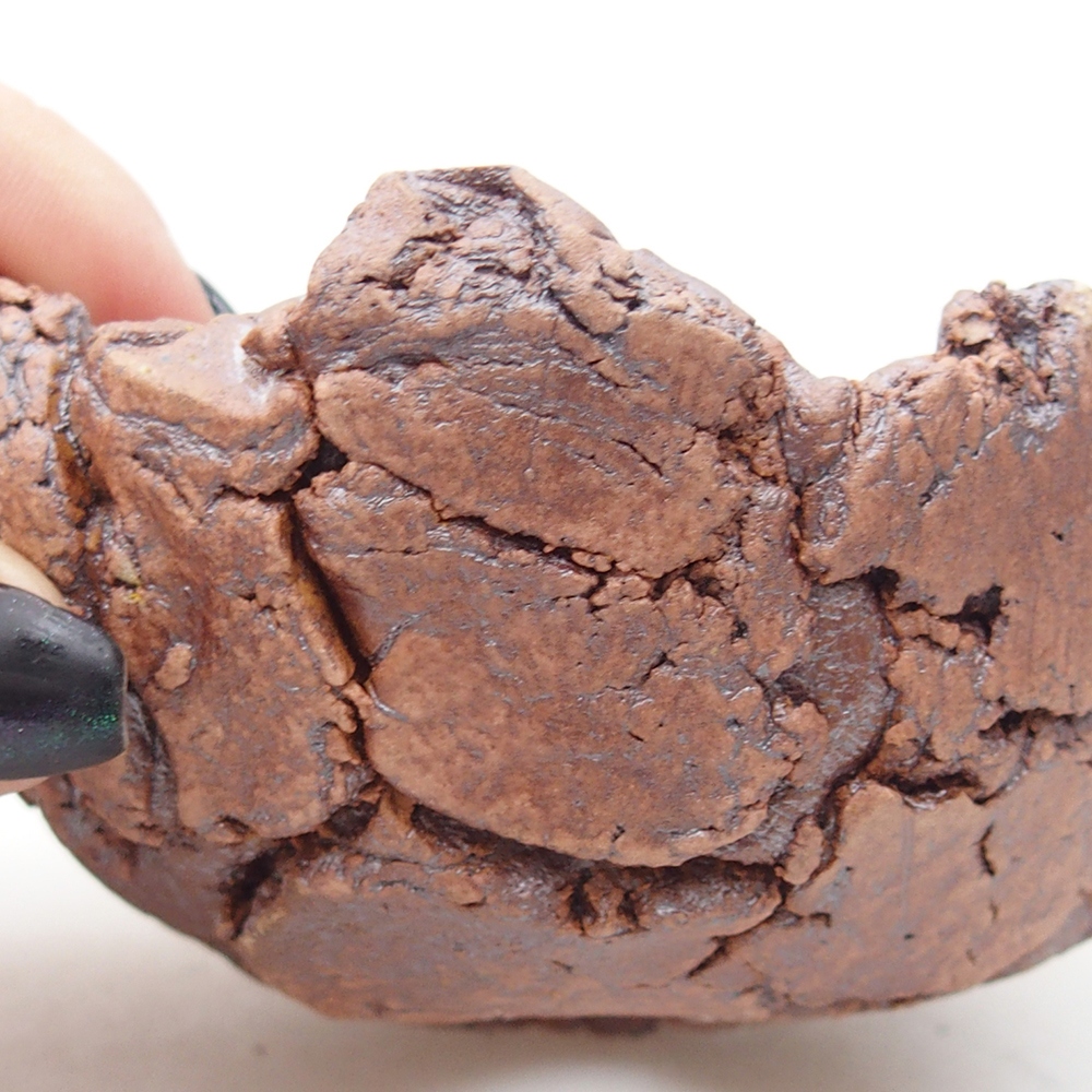 Conchiglia in ceramica 9 x 9 x 5,5 cm , colore marrone