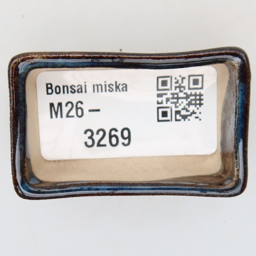 Vaso in ceramica per bonsai 5 x 3 x 2 cm, colore blu
