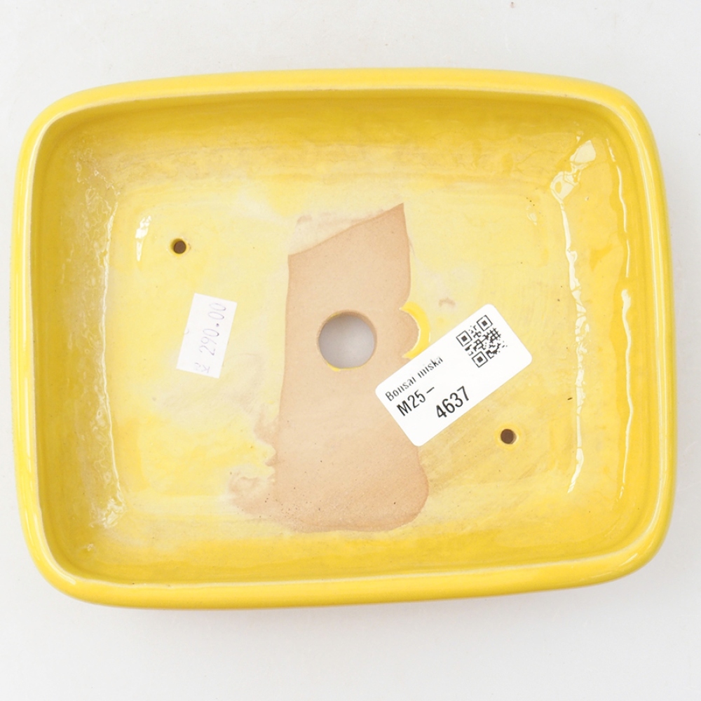 Ciotola bonsai in ceramica 17 x 13,5 x 3,5 cm, giallo