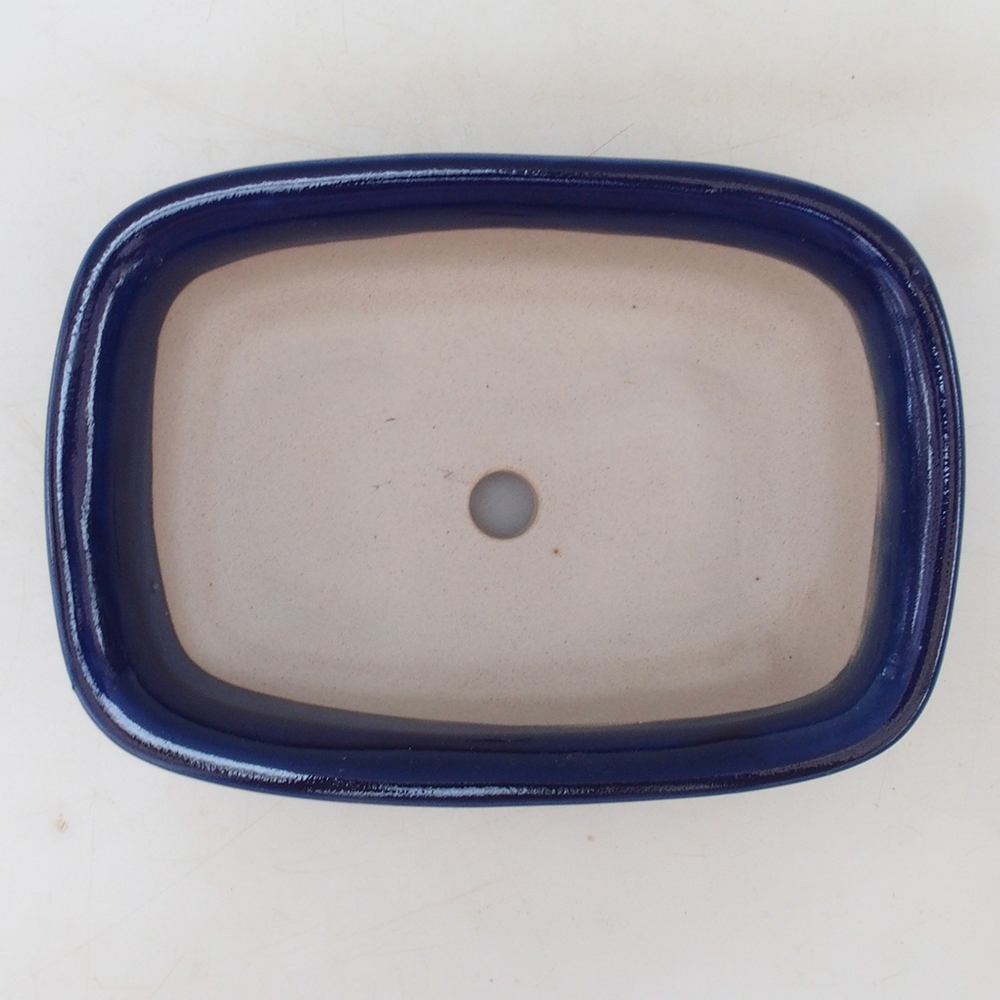 Ciotola per bonsai H02 - 19 x 13 x 5 cm - blu