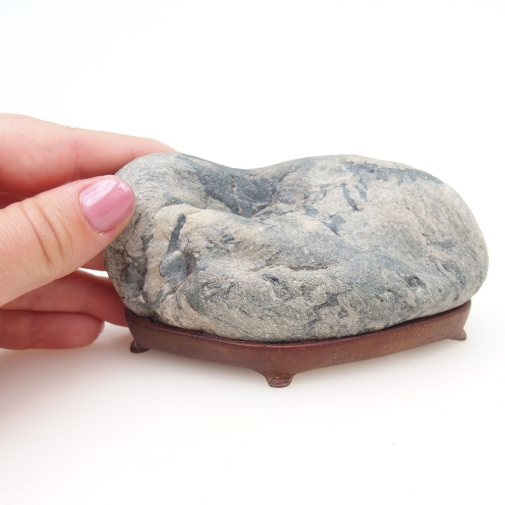 Suiseki - Pietra con DAI (base in legno)
