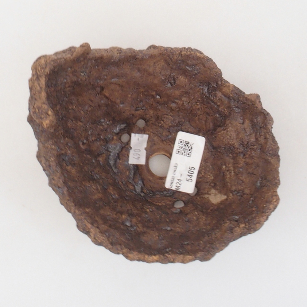 Conchiglia in ceramica 13,5 x 12 x 13,5 cm , colore marrone