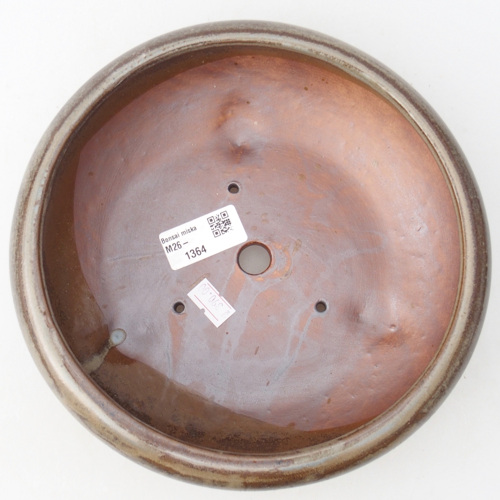 Ciotola per bonsai in ceramica 20 x 20 x 7 cm, marrone