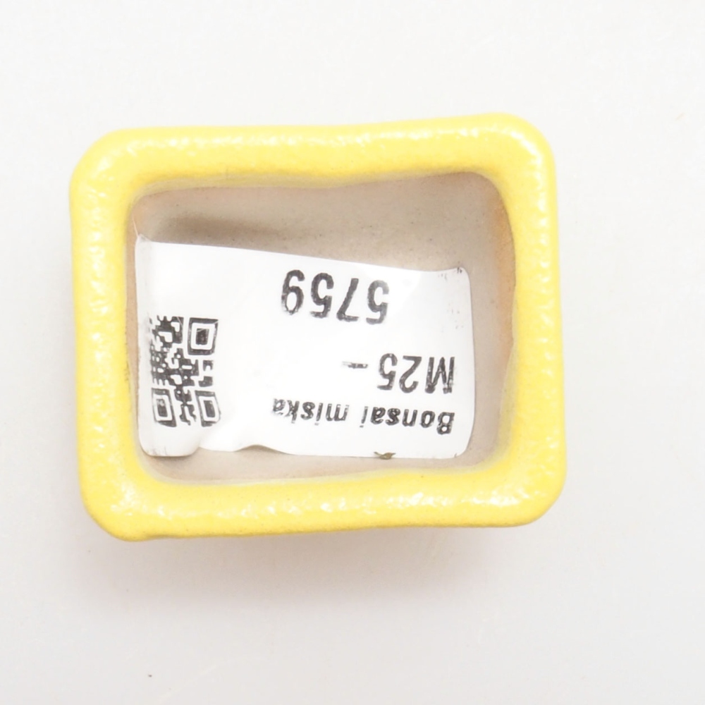 Ciotola per bonsai in ceramica 4 x 3 x 2,5 cm, giallo