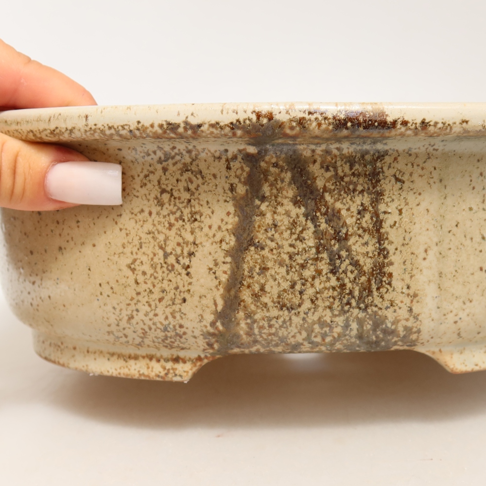Ciotola bonsai in ceramica 26 x 22 x 8 cm, colore beige