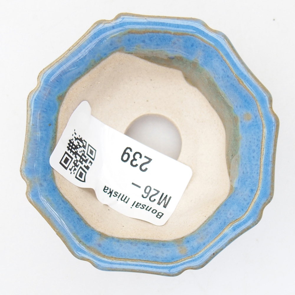 Mini bonsai 6 x 6 x 2,5 cm, colore blu