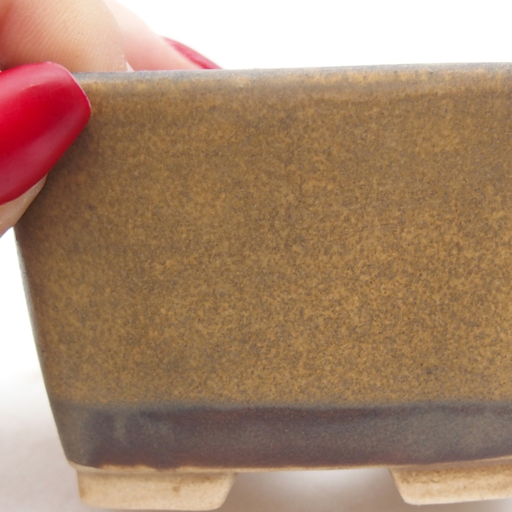 Ciotola per bonsai in ceramica 6 x 6 x 4,5 cm, marrone