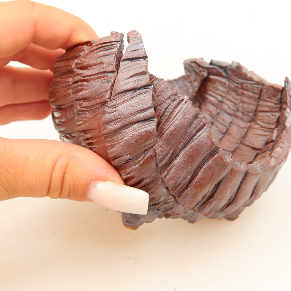 Guscio in ceramica  9,5 x 9,5 x 7 cm, colore marrone