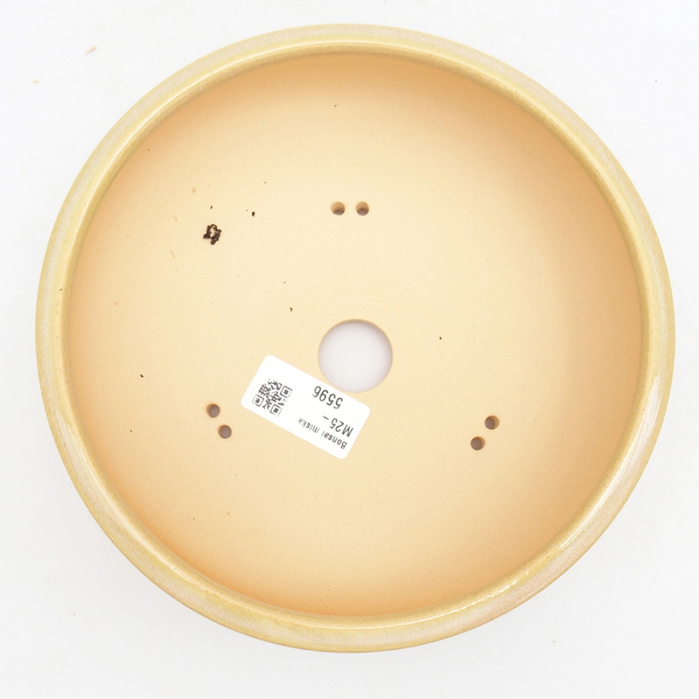 Ciotola per bonsai in ceramica 18,5 x 18,5 x 6,5 cm, verde