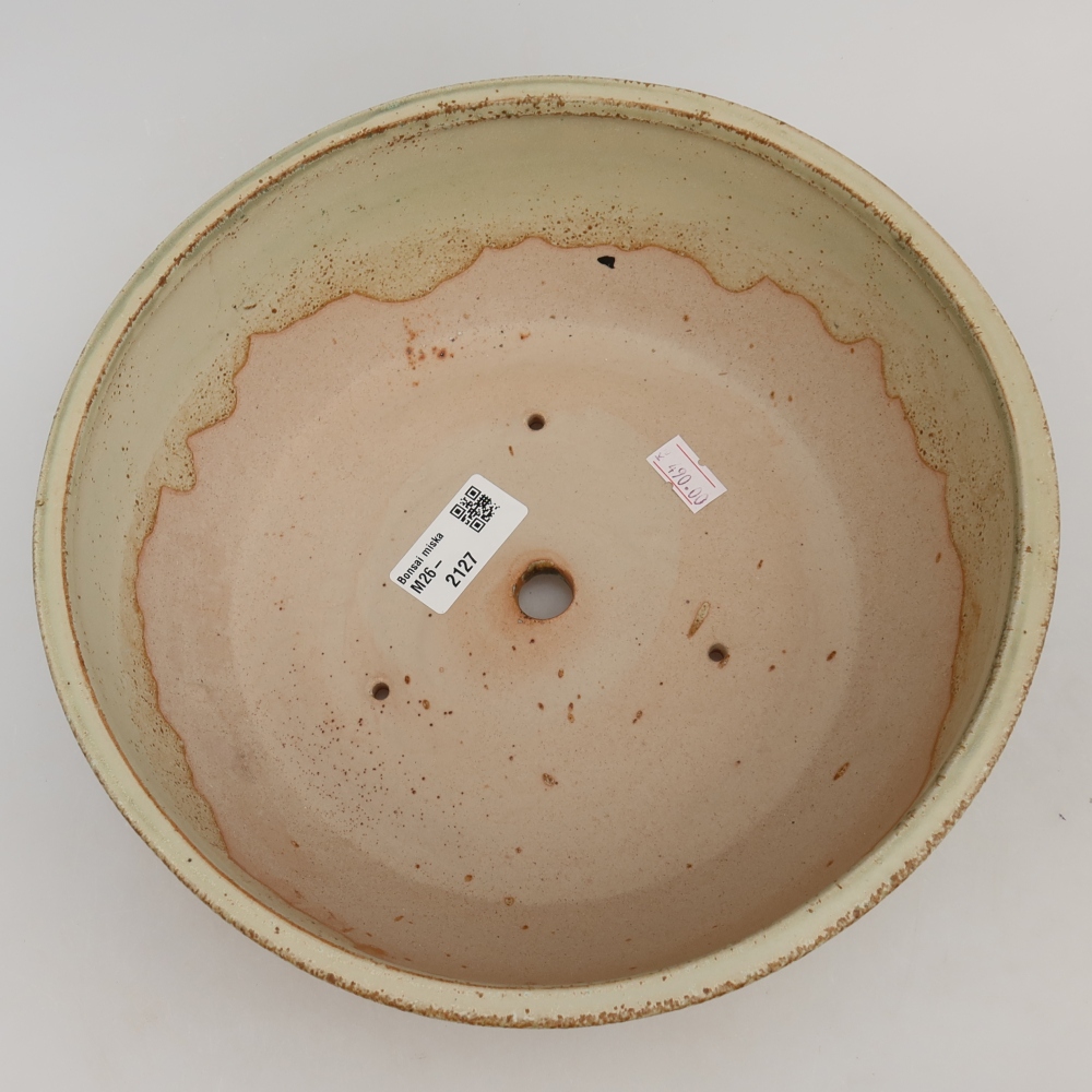 Vaso da bonsai in ceramica 24,5 x 24,5 x 7,5 cm, colore verde