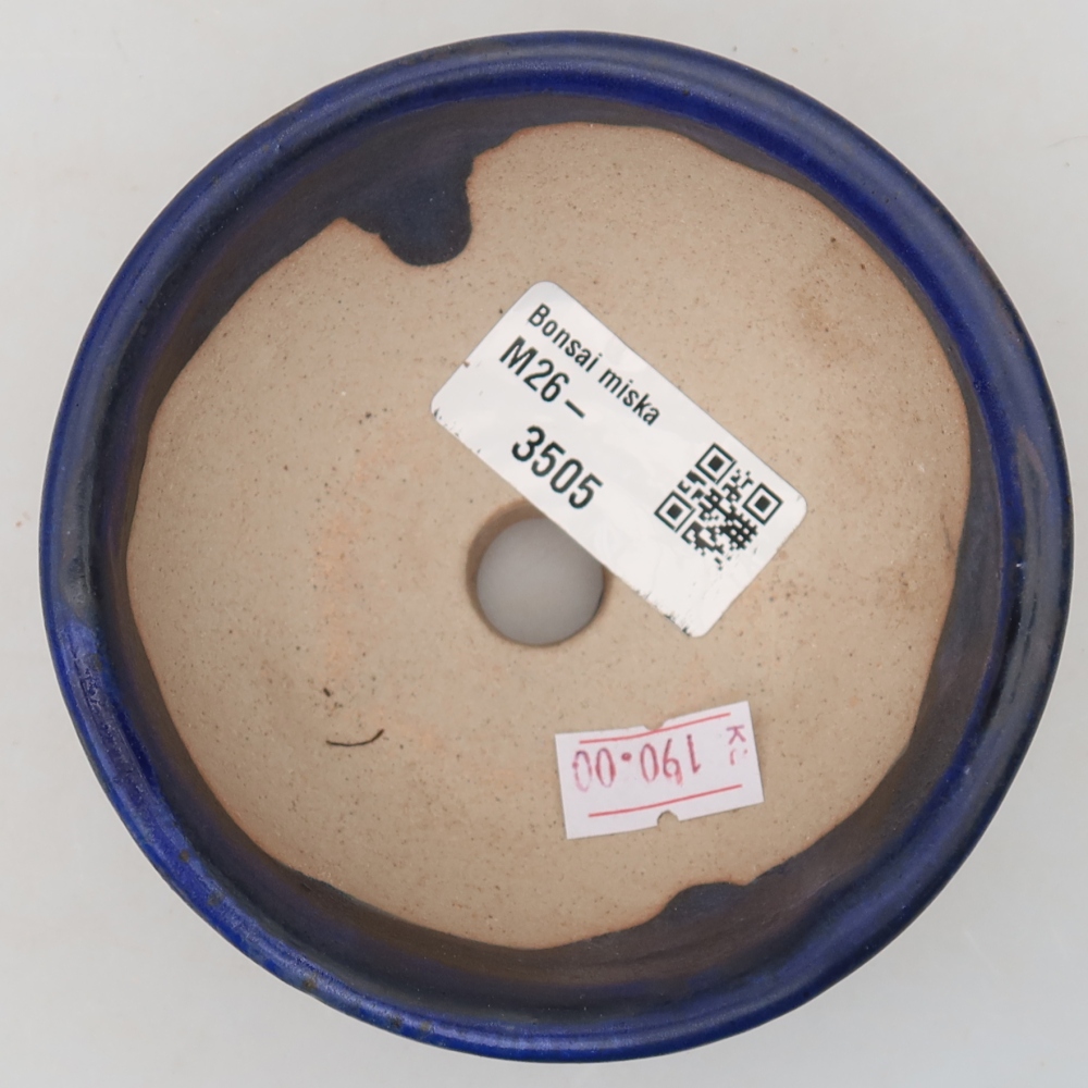 Vaso da bonsai in ceramica 10 x 10 x 5 cm, colore blu