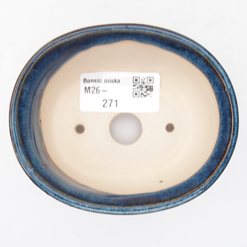 Mini bonsai 9,5 x 8 x 4,5 cm, colore blu