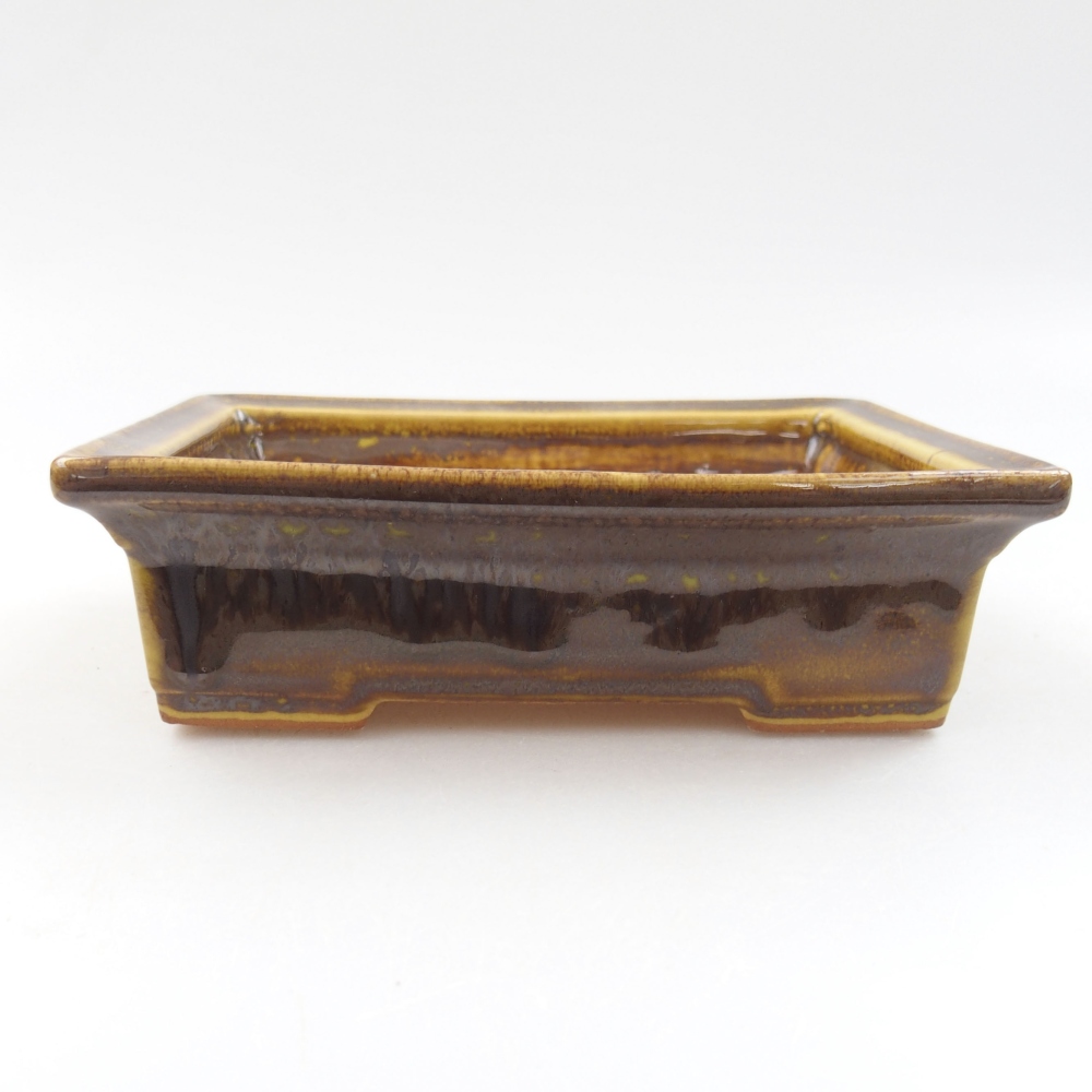 Ciotola bonsai in ceramica 22 x 17 x 5 cm, verde