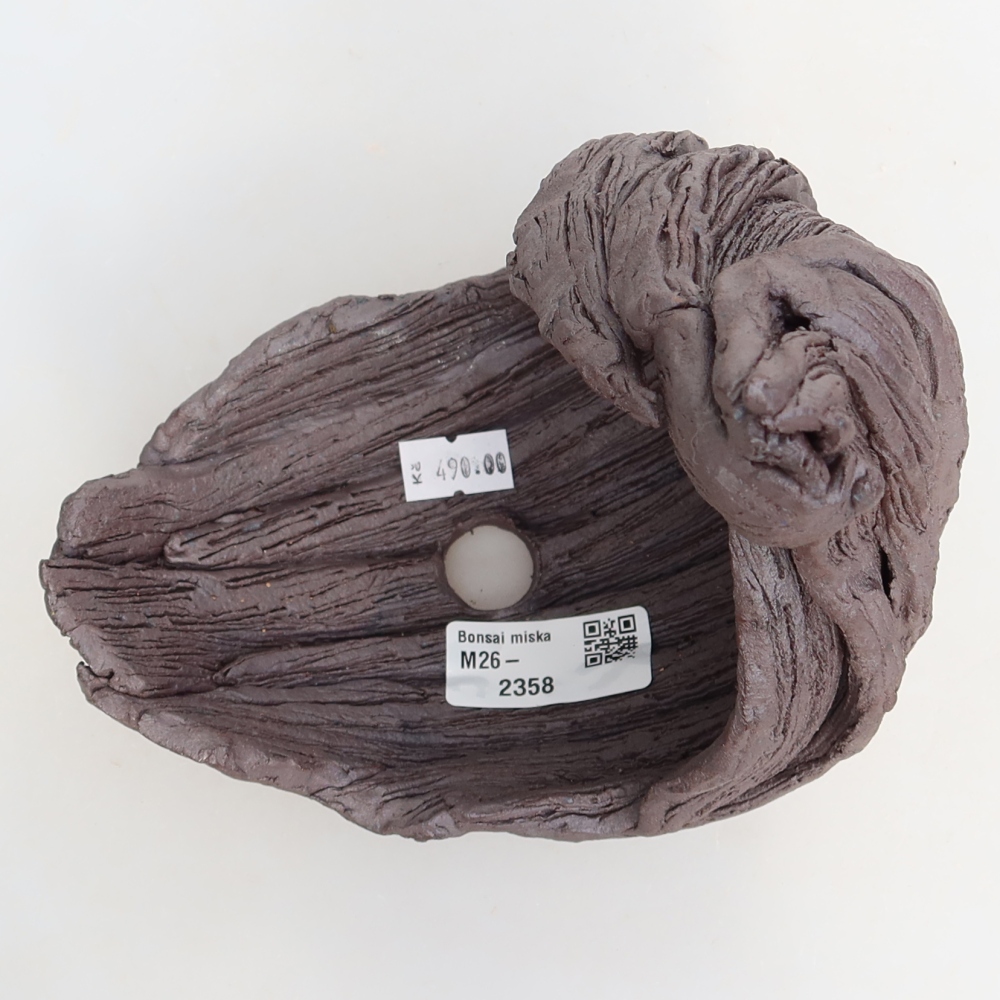 Guscio in ceramica  14,5 x 11,5 x 20 cm, colore marrone