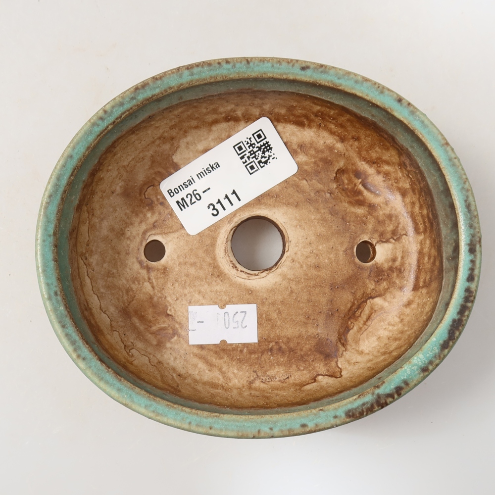 Vaso da bonsai in ceramica 12 x 10,5 x 4 cm, colore verde