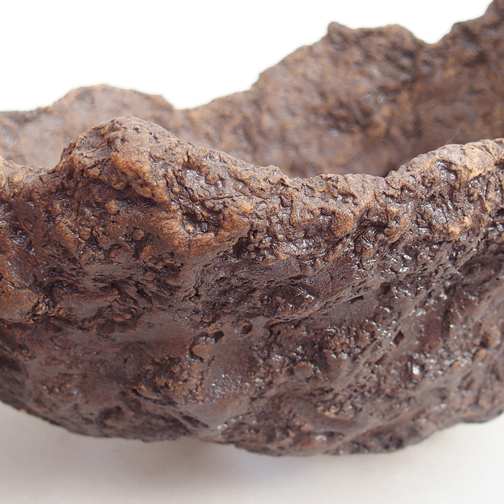 Conchiglia in ceramica 19 x 16 x 16 cm , colore marrone