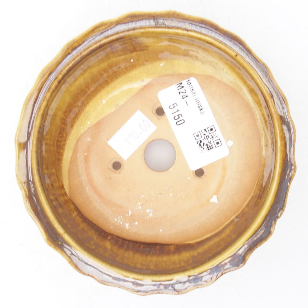 Ciotola bonsai in ceramica 11,5 x 11,5 x 5 cm, giallo