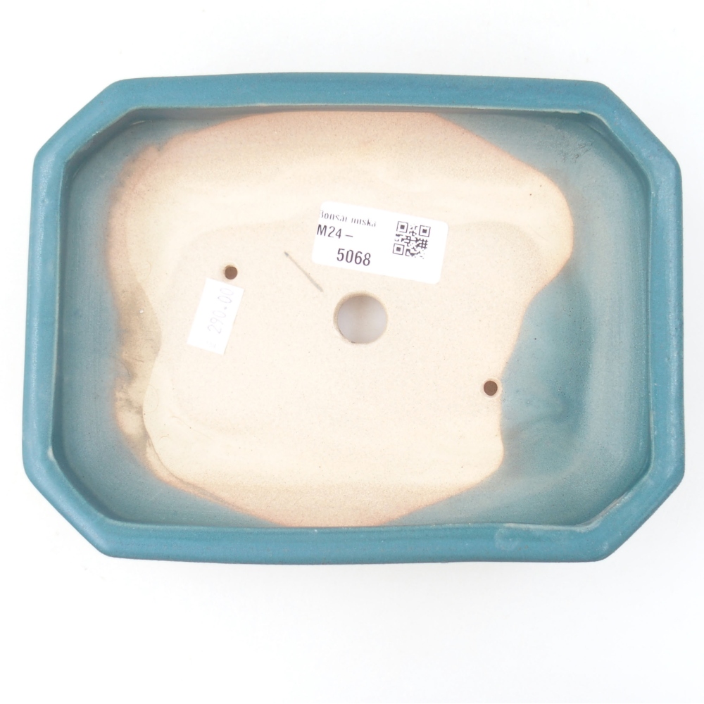 Ciotola bonsai in ceramica 18,5 x 13,5 x 4 cm, colore blu