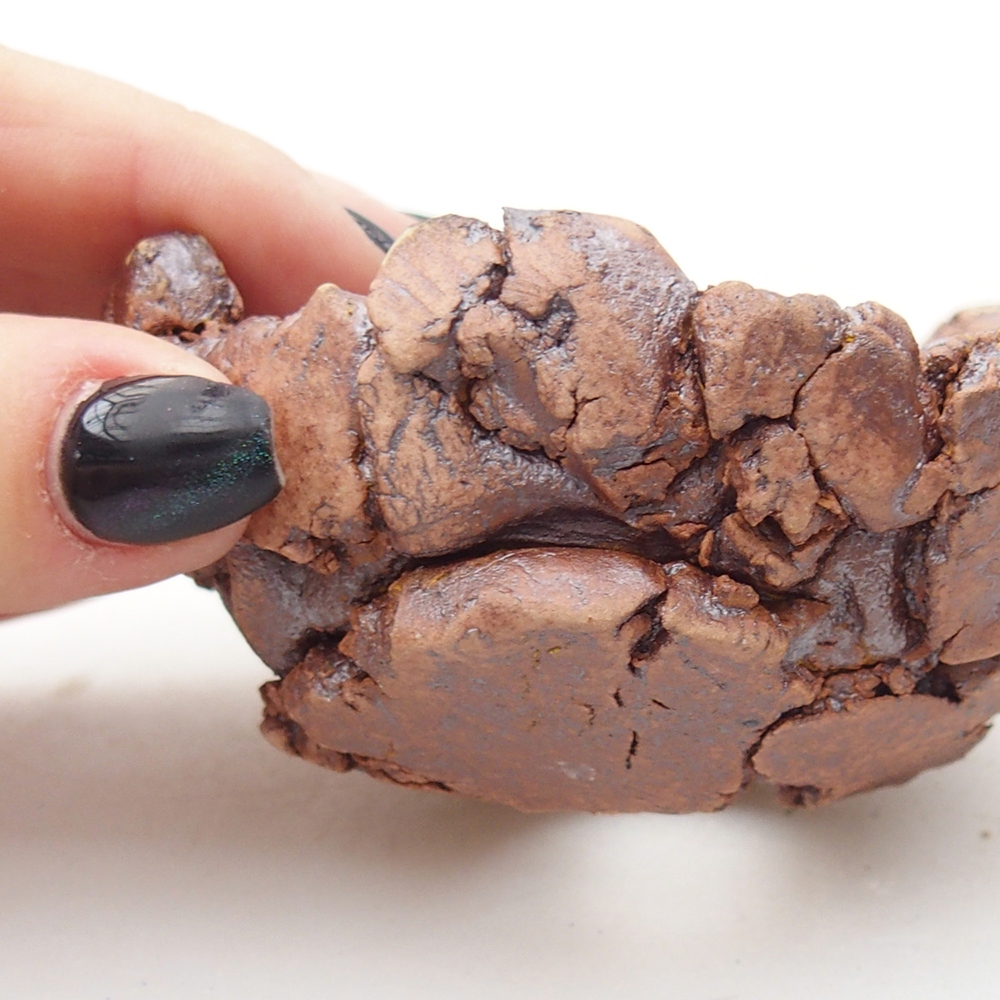 Conchiglia in ceramica 9 x 9 x 4,5 cm , colore marrone