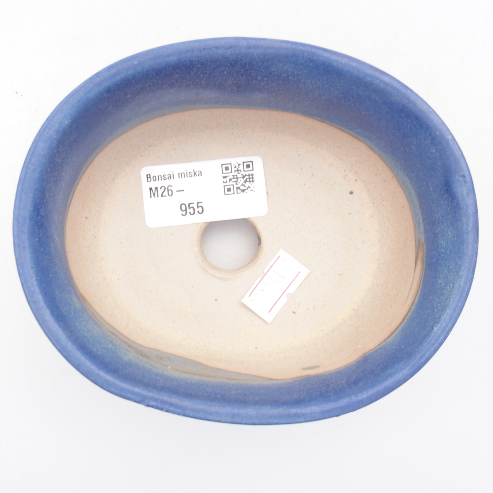 Ciotola per bonsai in ceramica 12 x 10 x 5,5 cm, colore blu
