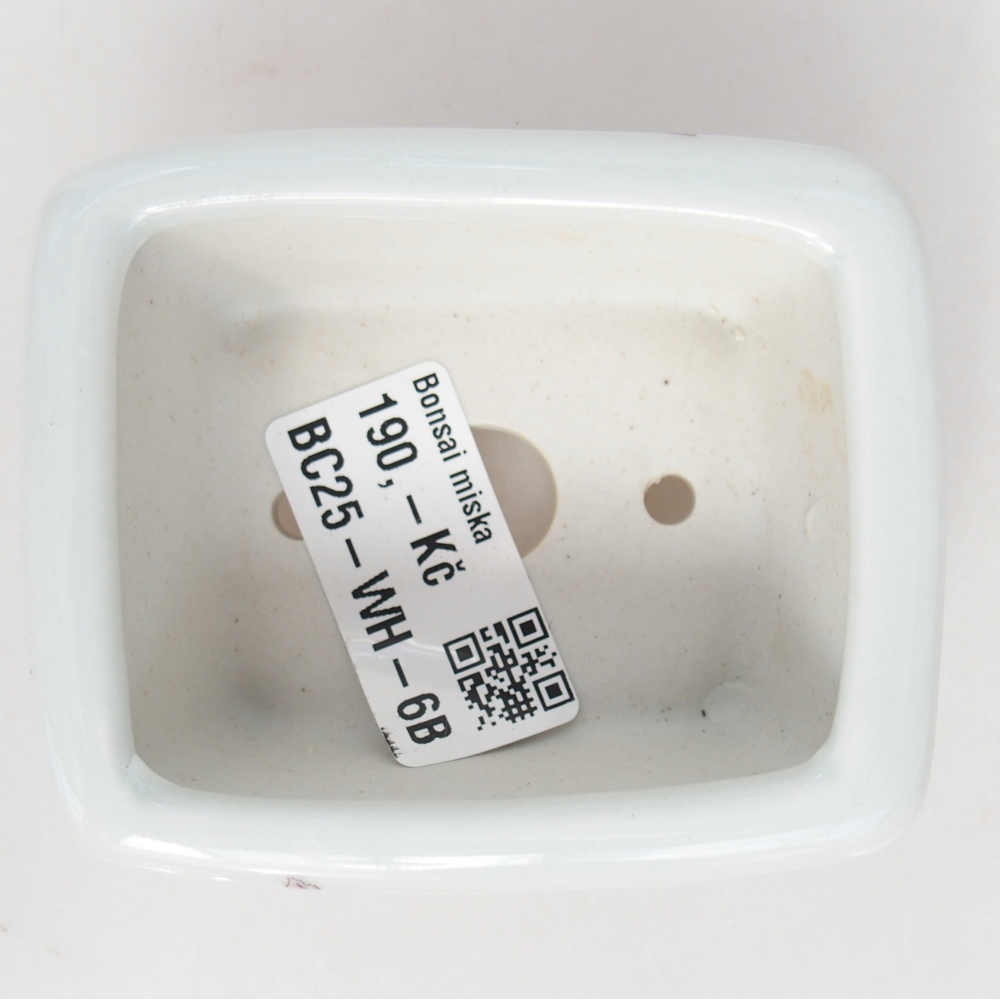 Mini bonsai 8 x 6,5 x 3,5 cm, bianco