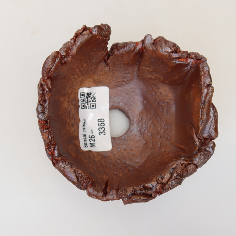 Guscio in ceramica 9,5 x 9 x 6 cm, colore marrone
