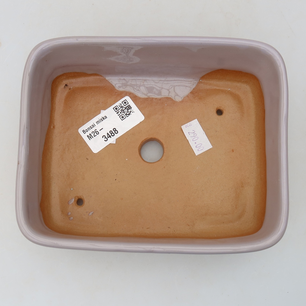 Vaso da bonsai in ceramica 15 x 12,5 x 4,5 cm, colore viola