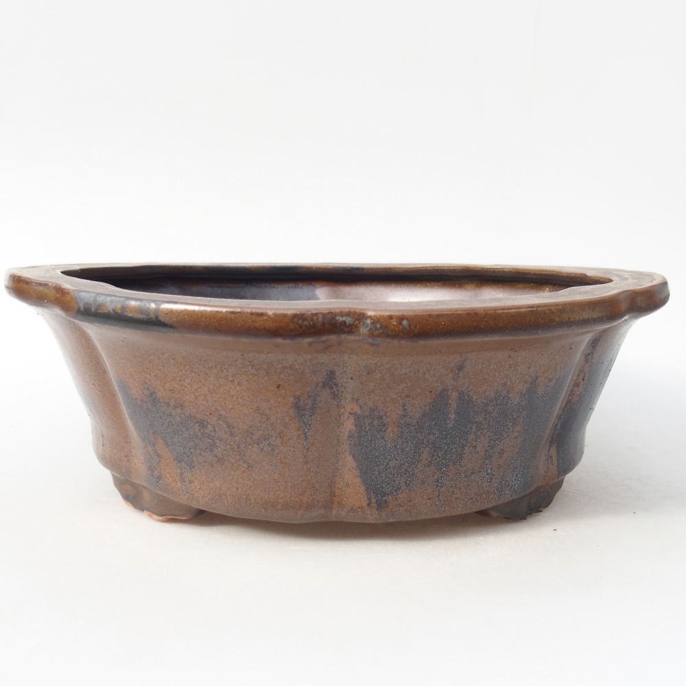 Ciotola per bonsai in ceramica 26 x 26 x 8,5 cm, marrone