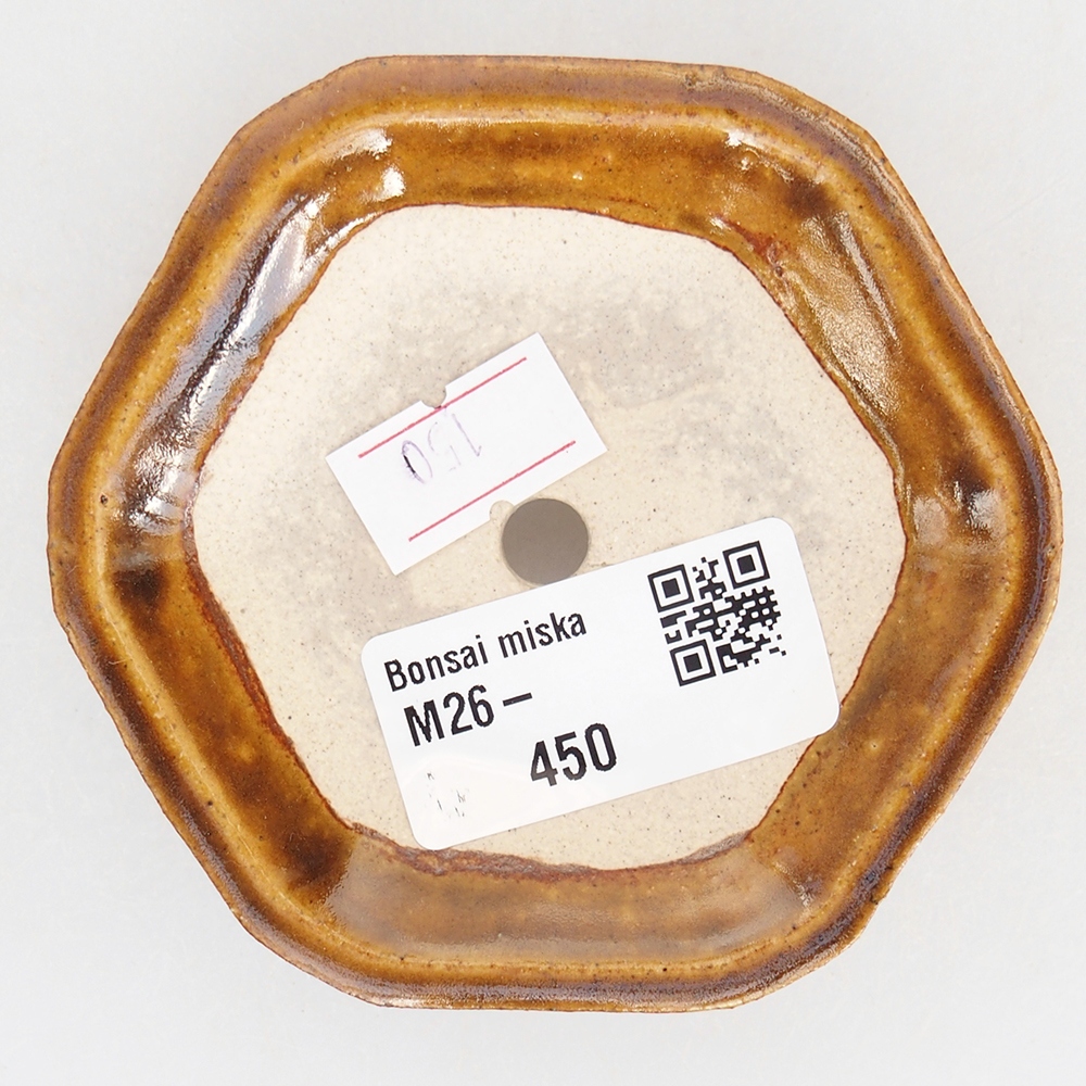 Ciotola per bonsai in ceramica 8,5 x 8 x 2,5 cm, marrone