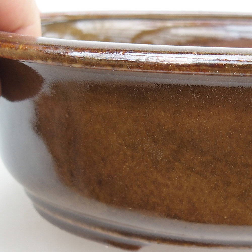 Ciotola bonsai in ceramica 23 x 19 x 7 cm, marrone