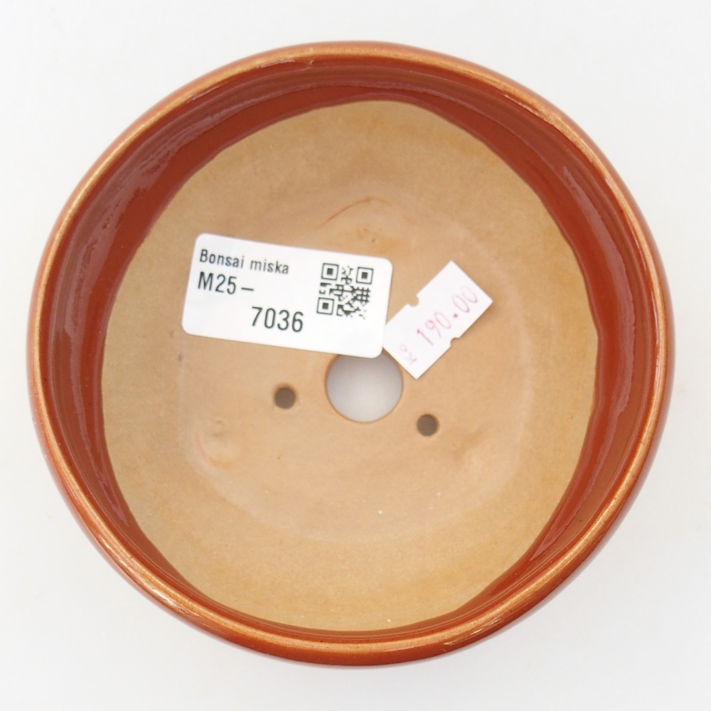 Ciotola bonsai in ceramica 26 x 26 x 8 cm, colore rosso