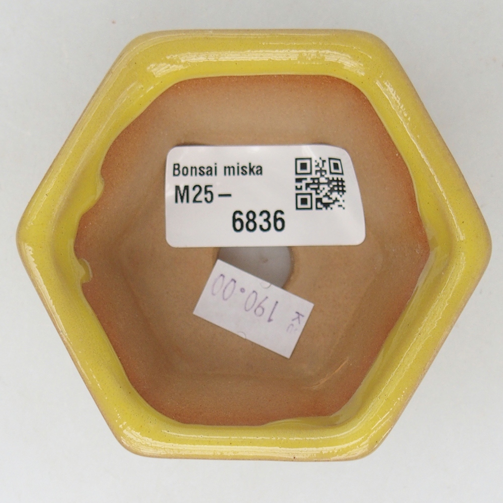 Ciotola bonsai in ceramica 7,5 x 7 x 4 cm, giallo