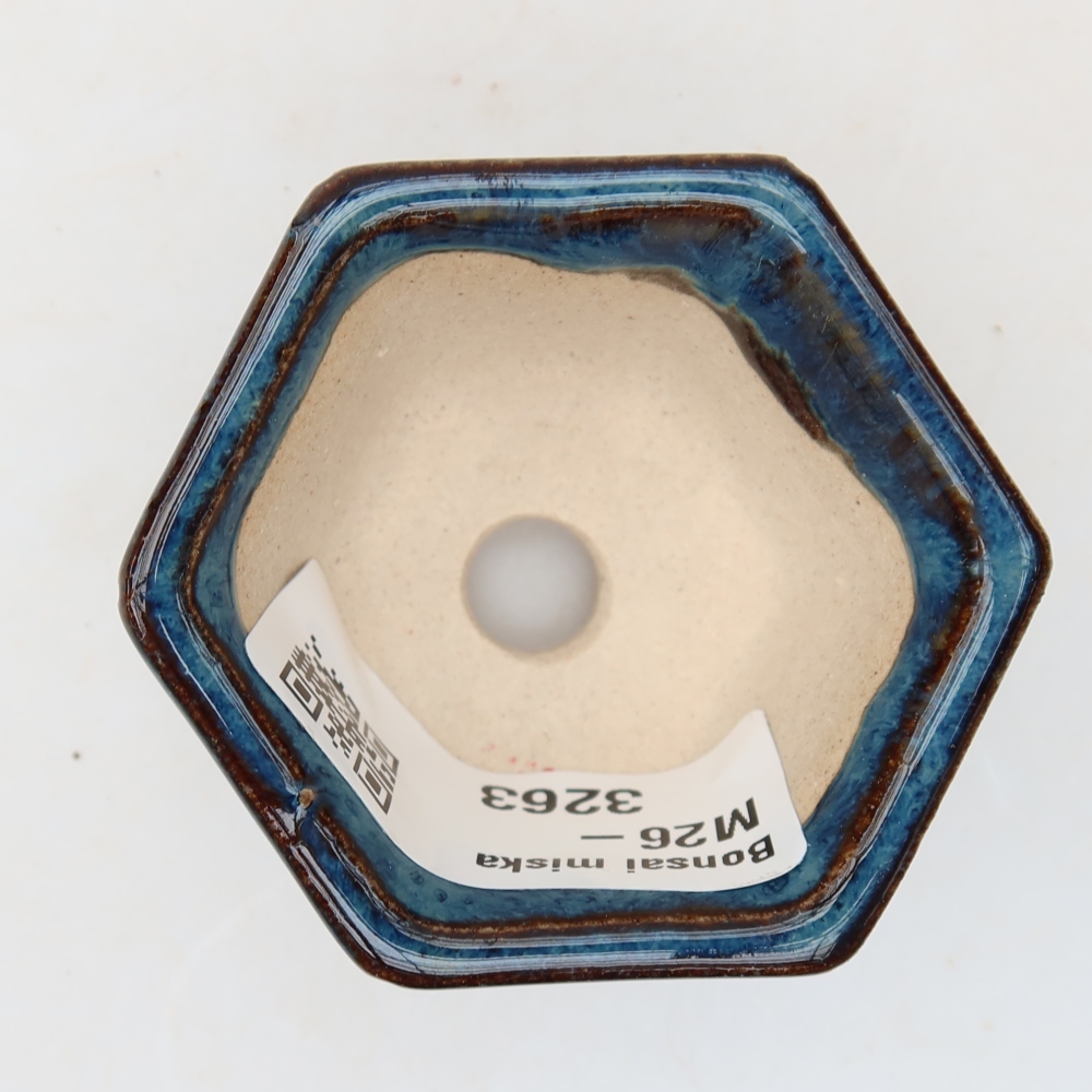 Vaso da bonsai in ceramica 5,5 x 5 x 3 cm, colore blu
