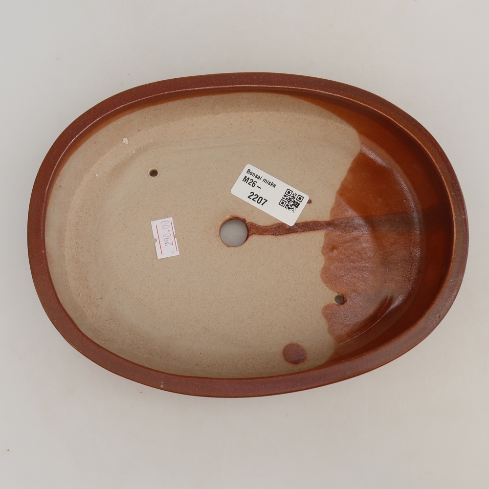 Vaso da bonsai in ceramica 22 x 17 x 4 cm, colore bordeaux