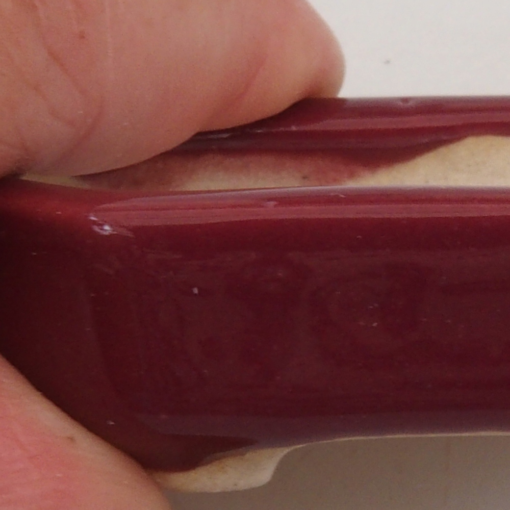 Mini bonsai 5,5 x 4 x 1,5 cm, colore bordeaux