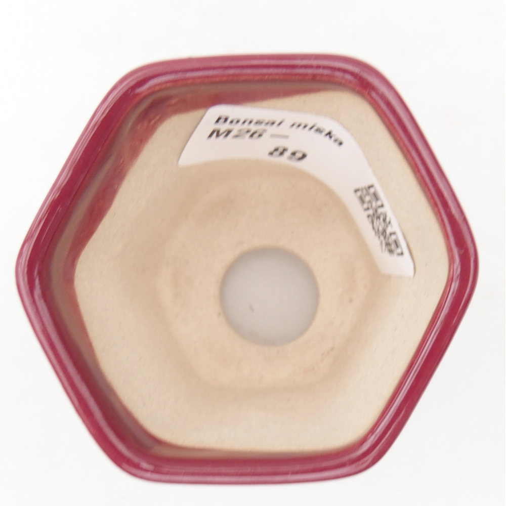 Mini bonsai 5,5 x 5 x 5 cm, colore bordeaux