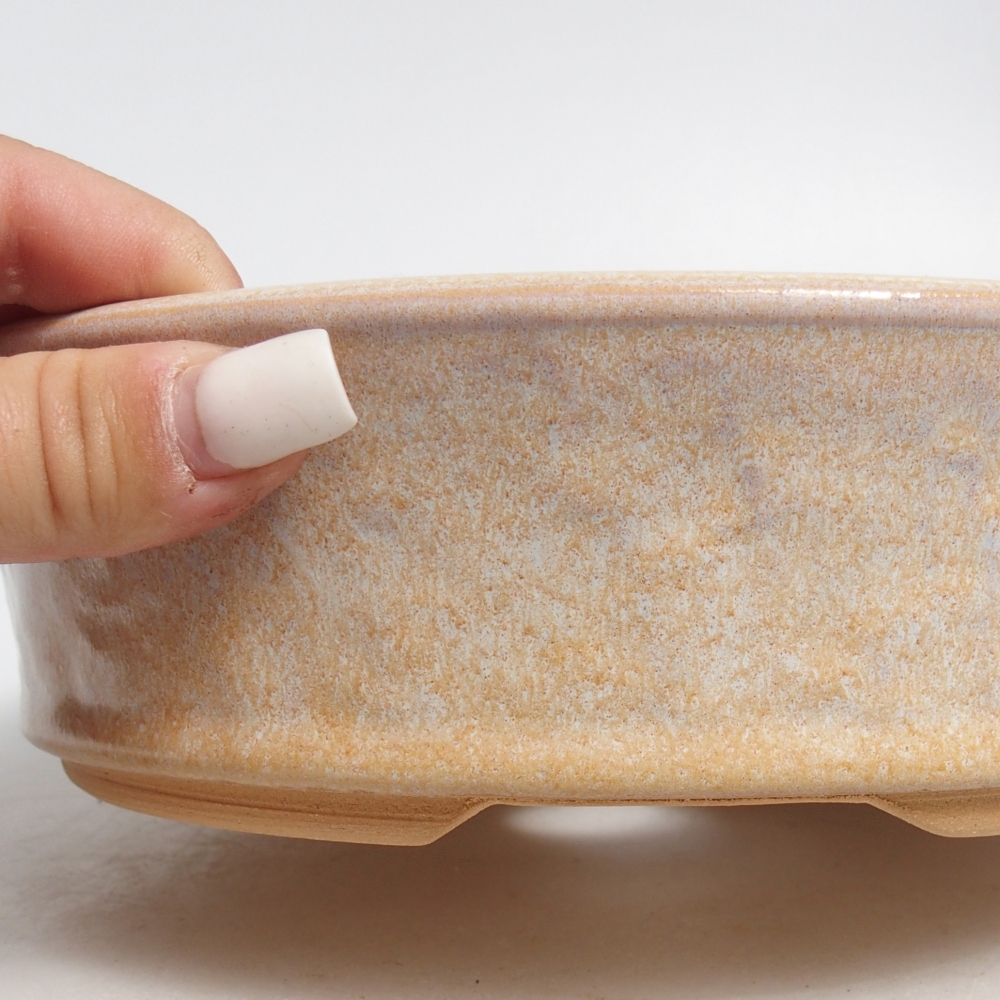 Ciotola per bonsai in ceramica 21 x 21 x 6 cm, colore beige