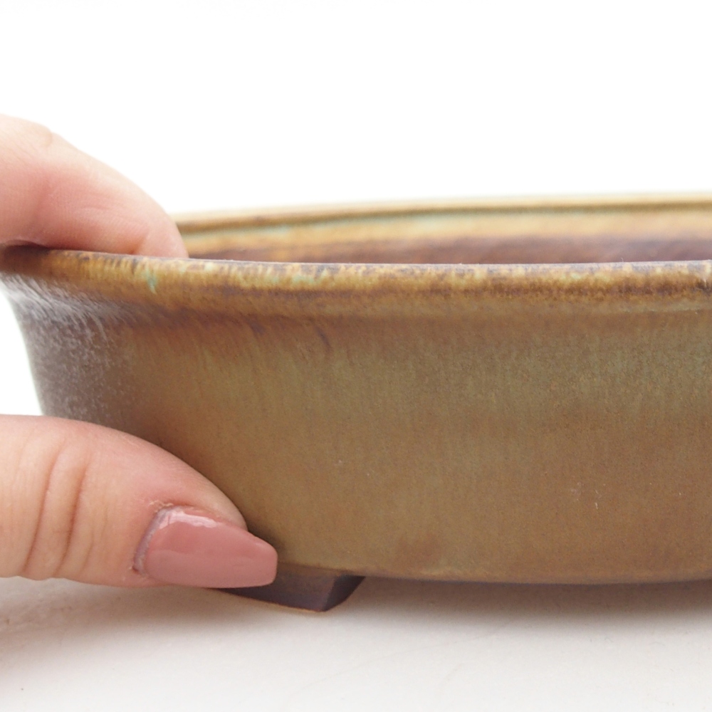 Ciotola bonsai in ceramica 21 x 19 x 8 cm, verde