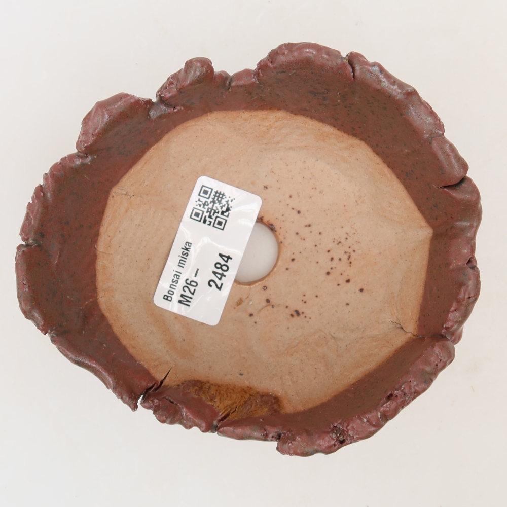Guscio in ceramica  11 x 10 x 5,5 cm, colore rosa