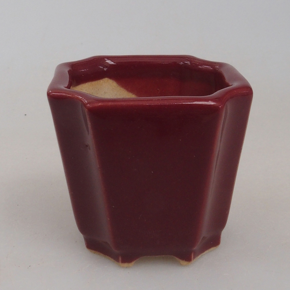 Mini bonsai 4 x 4 x 3,5 cm, bordeaux