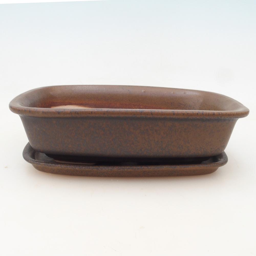 Ciotola bonsai + piattino H02 - marrone