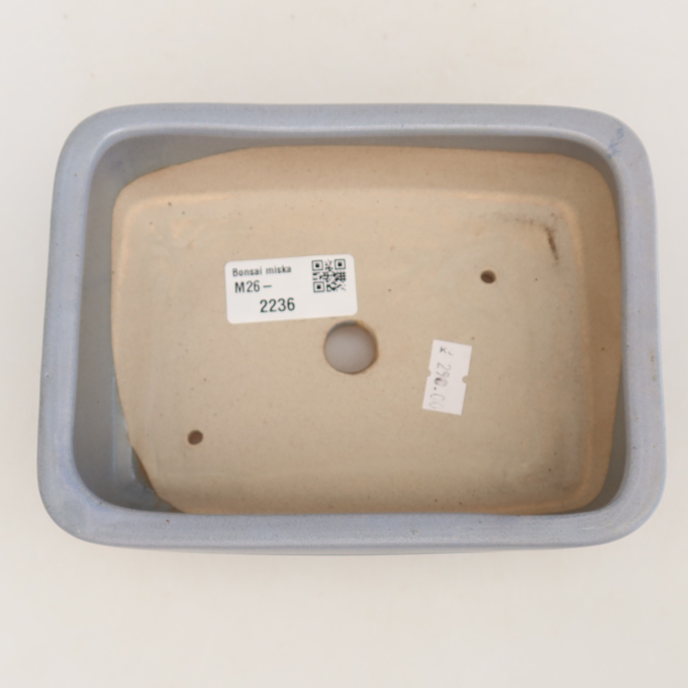 Vaso da bonsai in ceramica 17 x 12,5 x 5,5 cm, colore blu