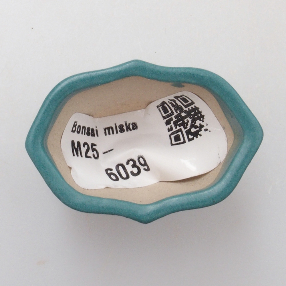 Ciotola bonsai in ceramica 6,5 x 5,5 x 4 cm, colore blu