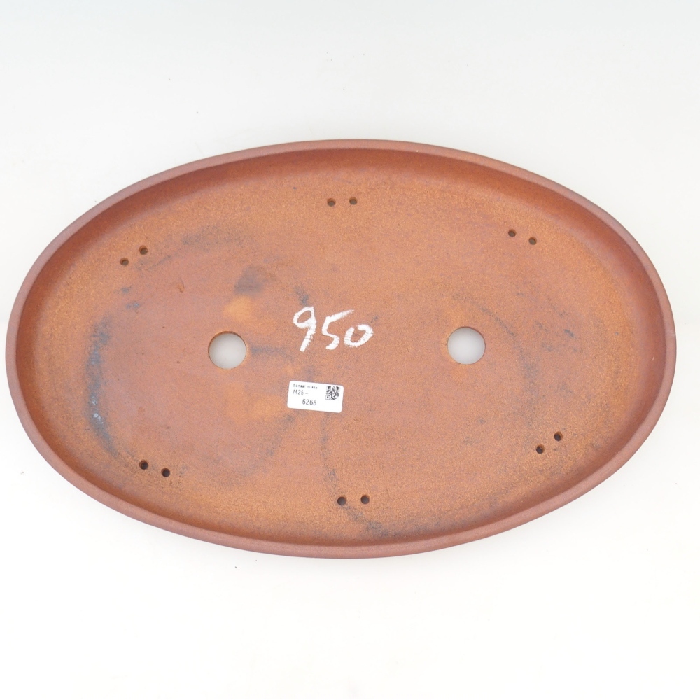 Ciotola per bonsai 48,5 x 31 x 4,5 cm , colore marrone - SOLO RITIRO PERSONALE O TRASPORTO IN PALLET