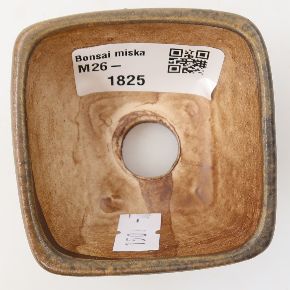 Ciotola per bonsai in ceramica 6 x 6 x 4 cm, marrone